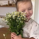 Создайте свой собственный сайт самостоятельно всего за 5 минут